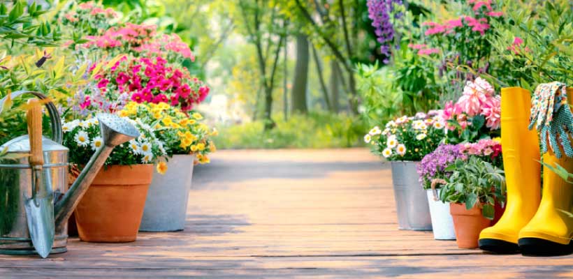 The benefits of using quality garden decking
