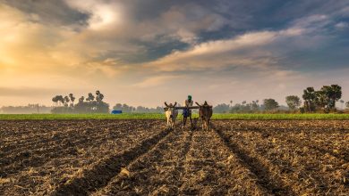 9 Major Types of Farming in India With Advantages