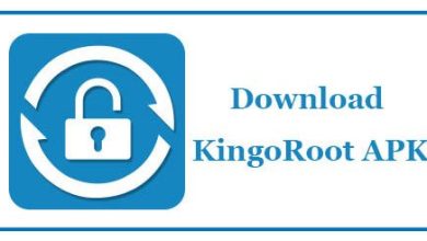 The Best Guidelines To Complete Kingo Root Download For Windows