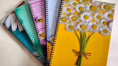 Best Notebooks for Designers