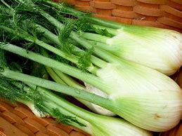 Fennel Herb for infertility