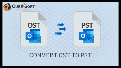 ost-to-pst-cubex