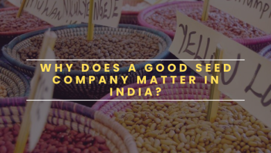 Seed company in india