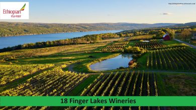 18 Finger Lakes Wineries