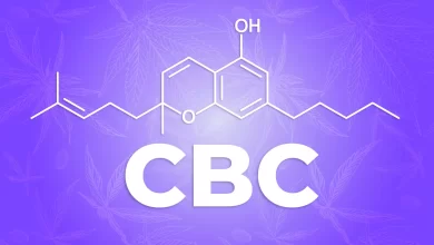 Exploring the Anti-Inflammatory Properties of CBC