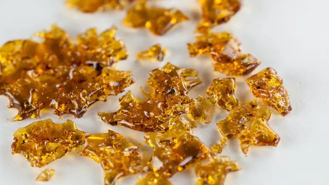 What Is Solventless Concentrate and Why Is It So Popular?